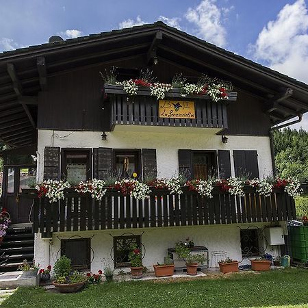 B&B La Genzianella Perarolo di Cadore Ngoại thất bức ảnh