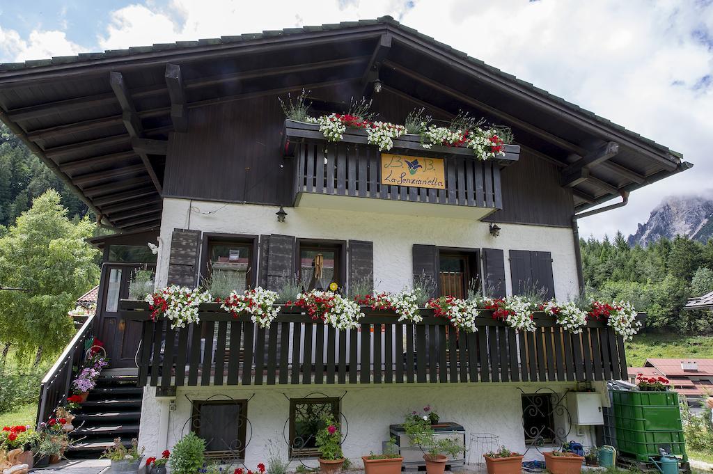 B&B La Genzianella Perarolo di Cadore Ngoại thất bức ảnh
