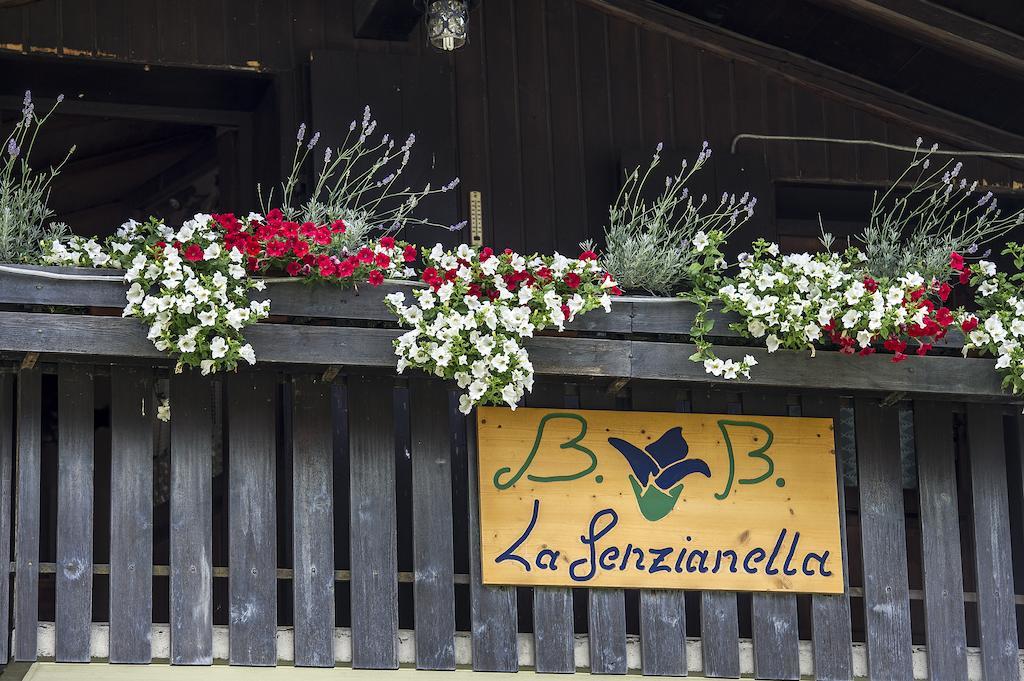 B&B La Genzianella Perarolo di Cadore Ngoại thất bức ảnh