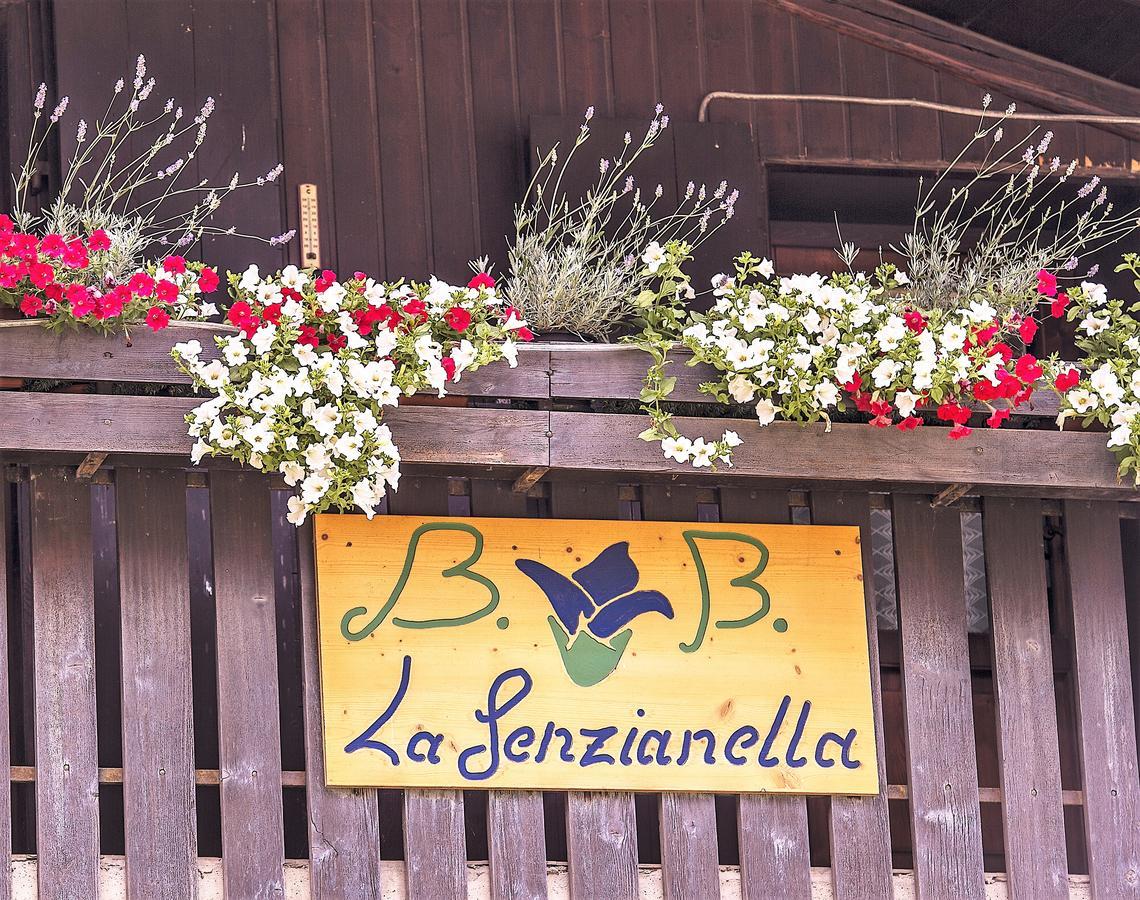 B&B La Genzianella Perarolo di Cadore Ngoại thất bức ảnh